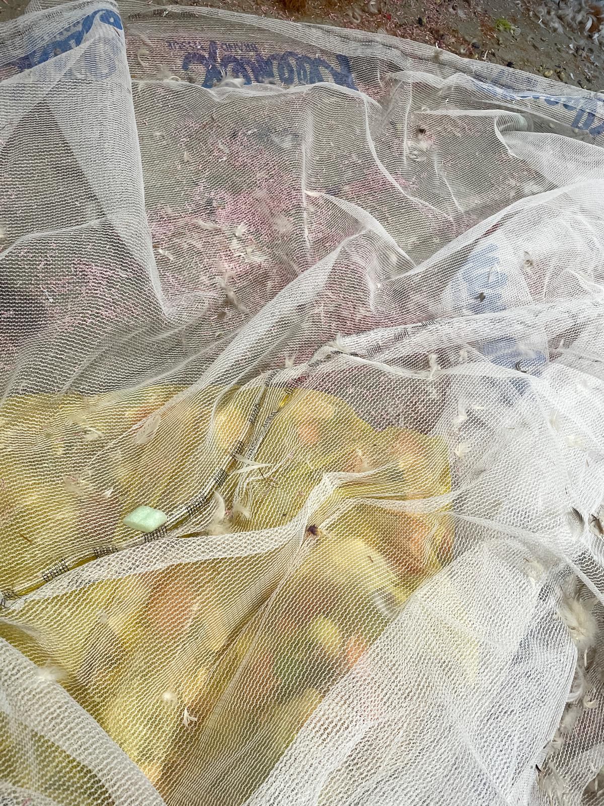 Barbati gallery - Palazzo Lezze